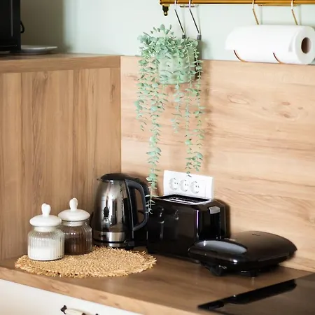 Tarvil - Zaovine Apartment *